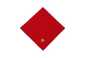 Embroidered Holly Berry Napkin Red | Set of 2