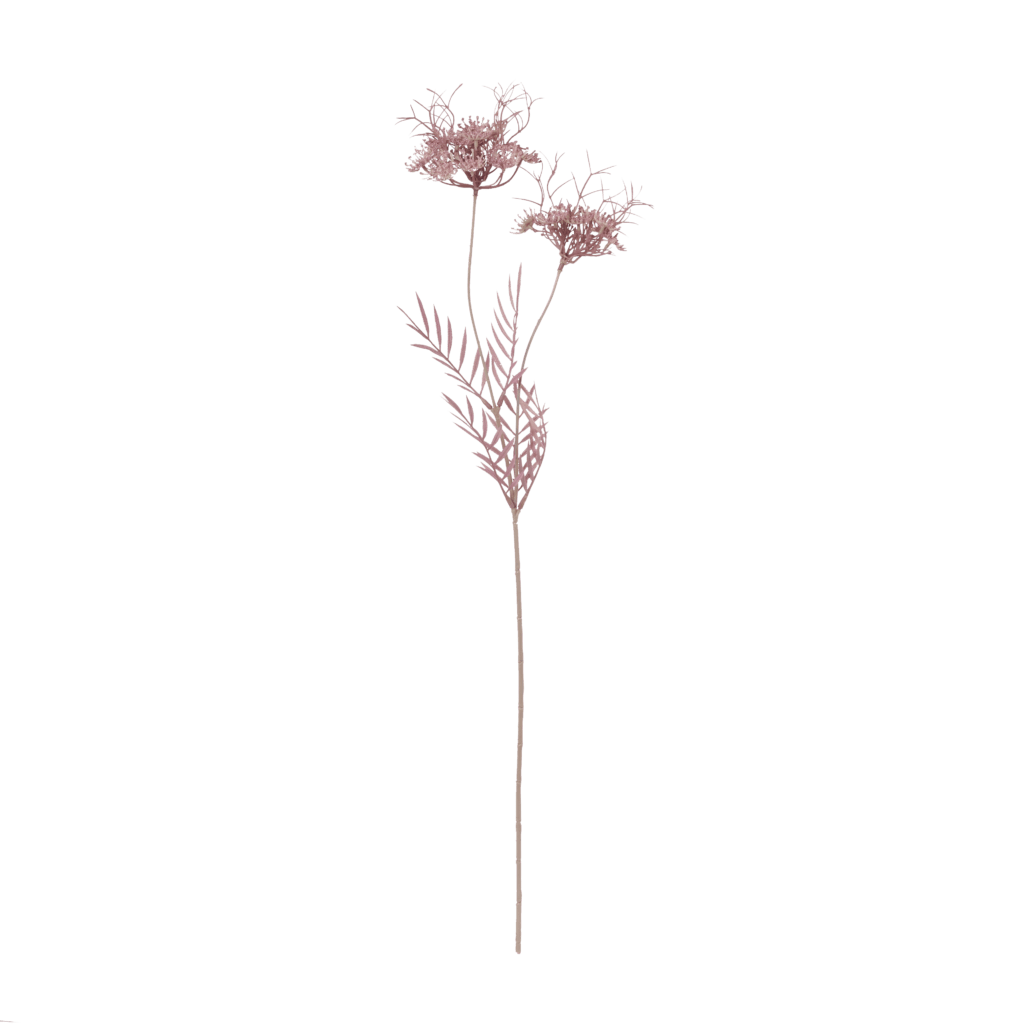 Elder Lace | Crimson