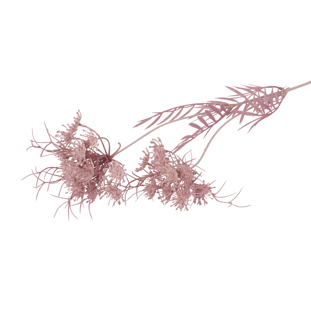 Elder Lace | Crimson