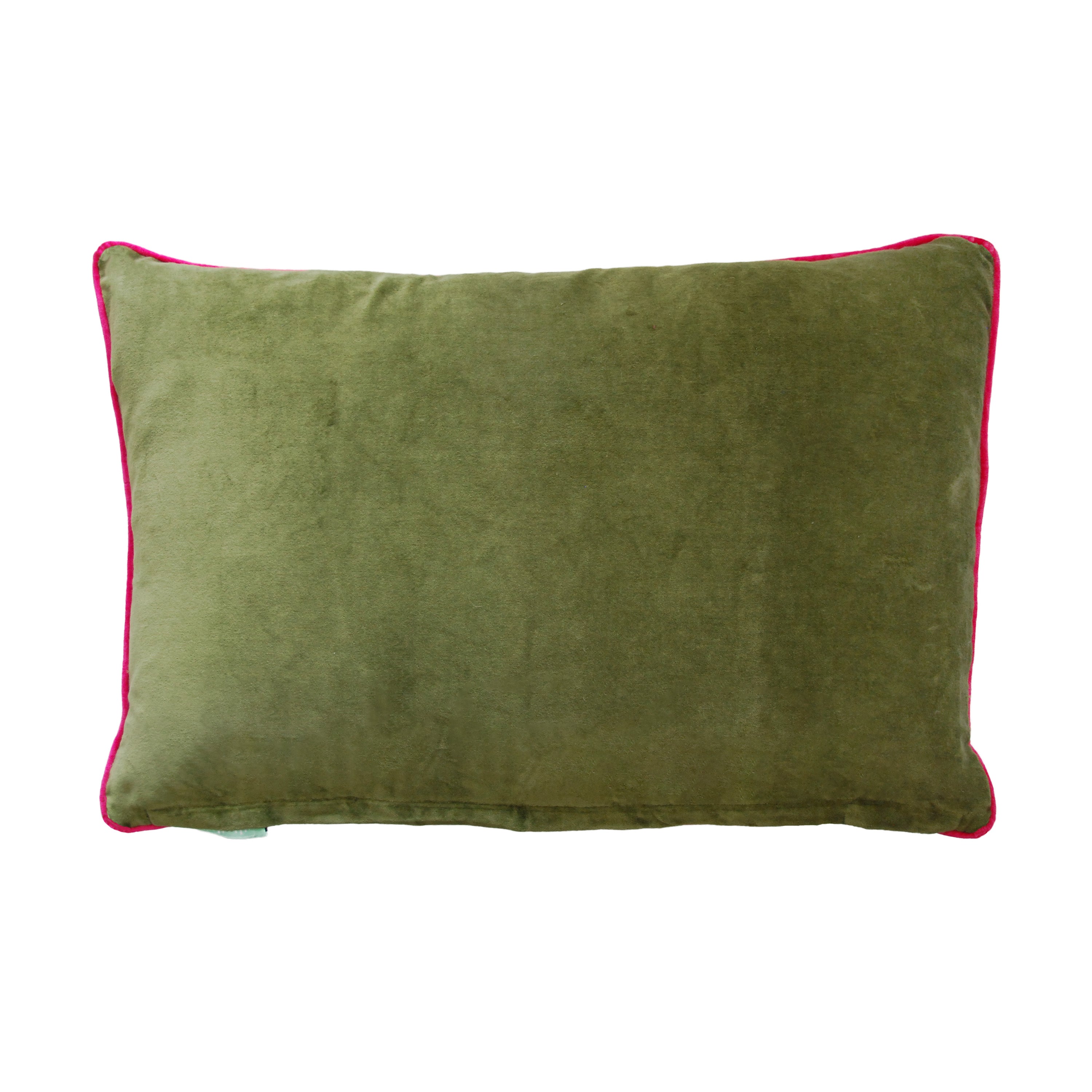 Ensley Velvet Cushion