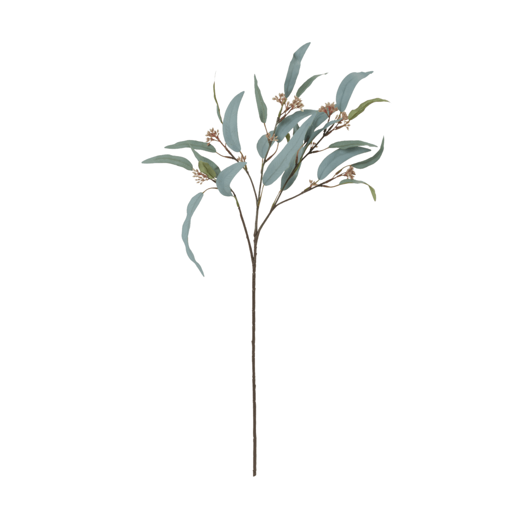 Eucalyptus Nicolii | Sage