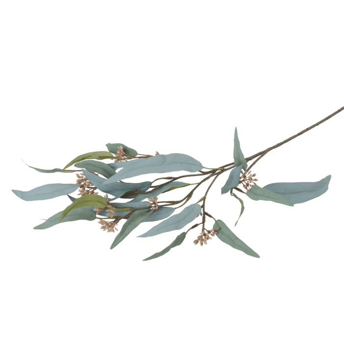Eucalyptus Nicolii | Sage — JA Lyttle