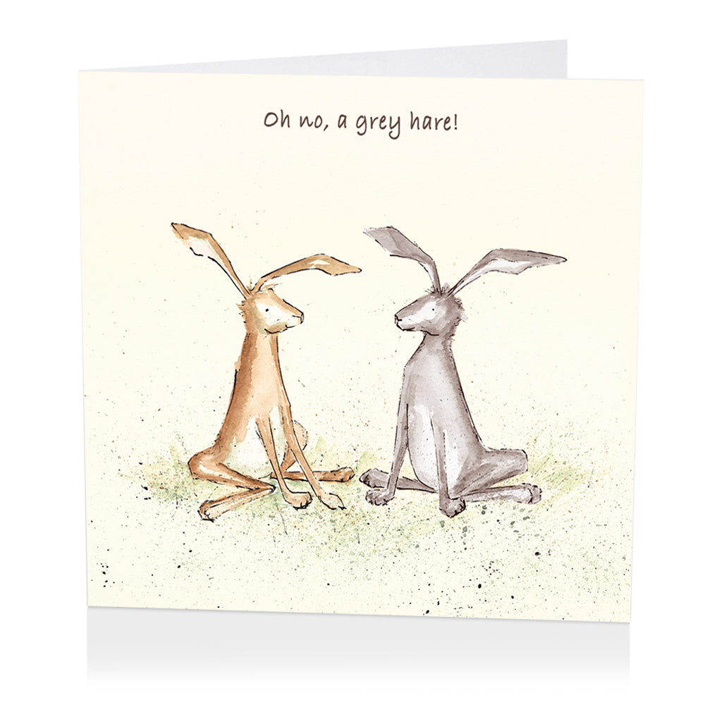 Oh No A Grey Hare