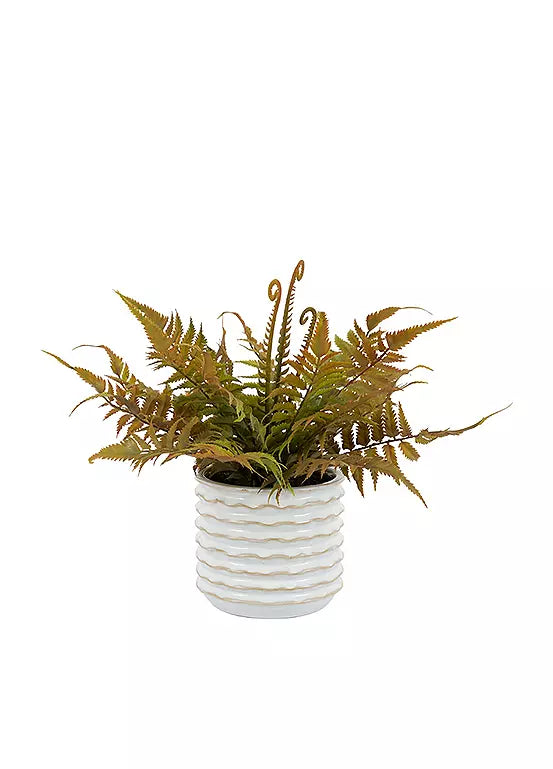 Faded Fern In Ceramic White Pot