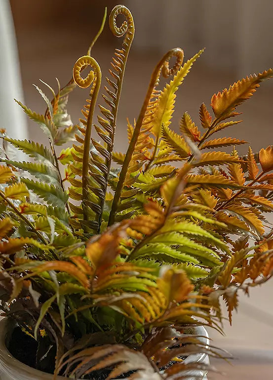 Faded Fern In Ceramic White Pot