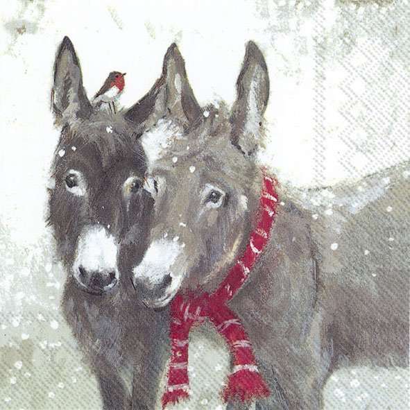 Pips and Grey lunch napkins