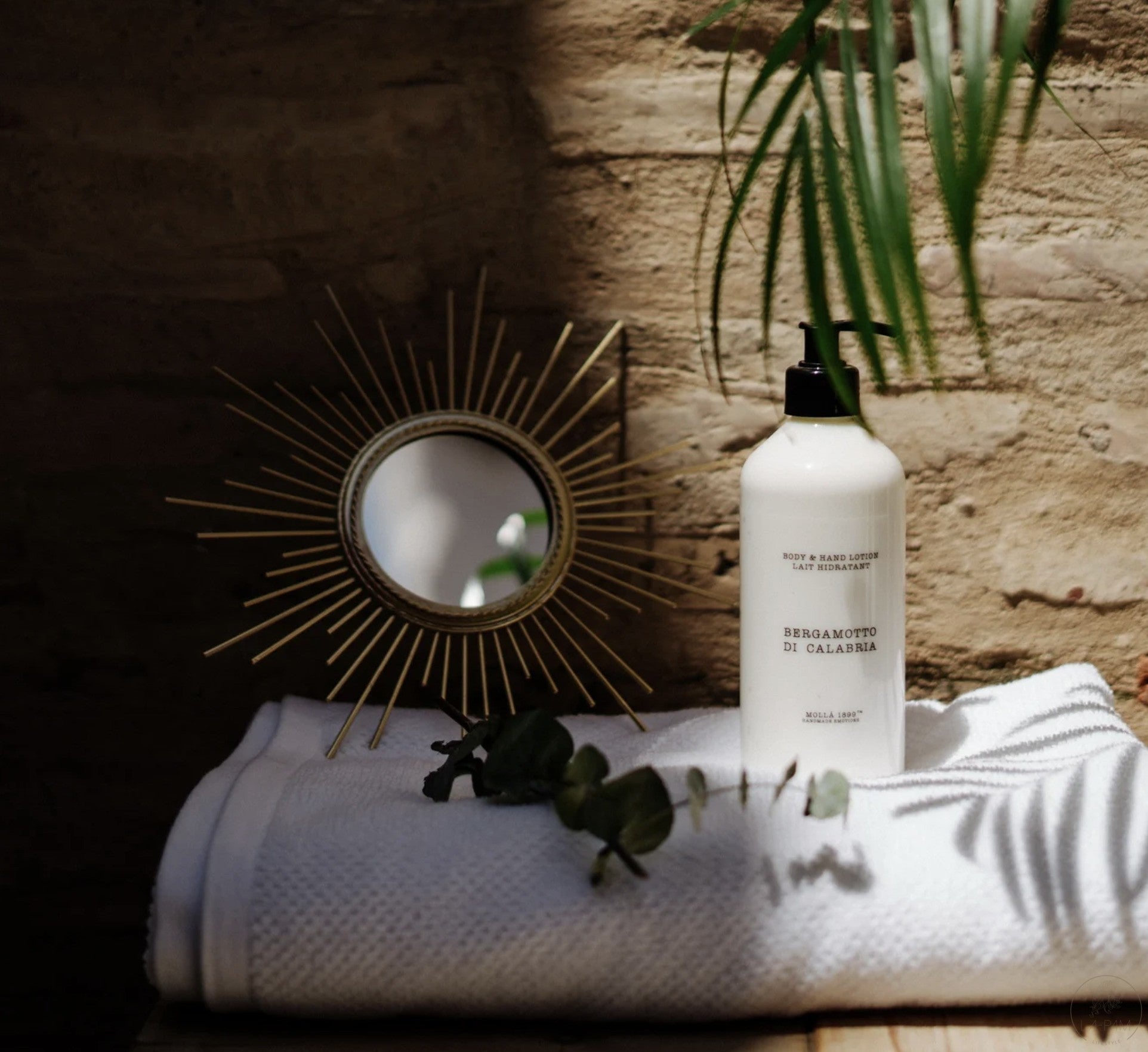 Cereria Molla | Hand & Body Lotion