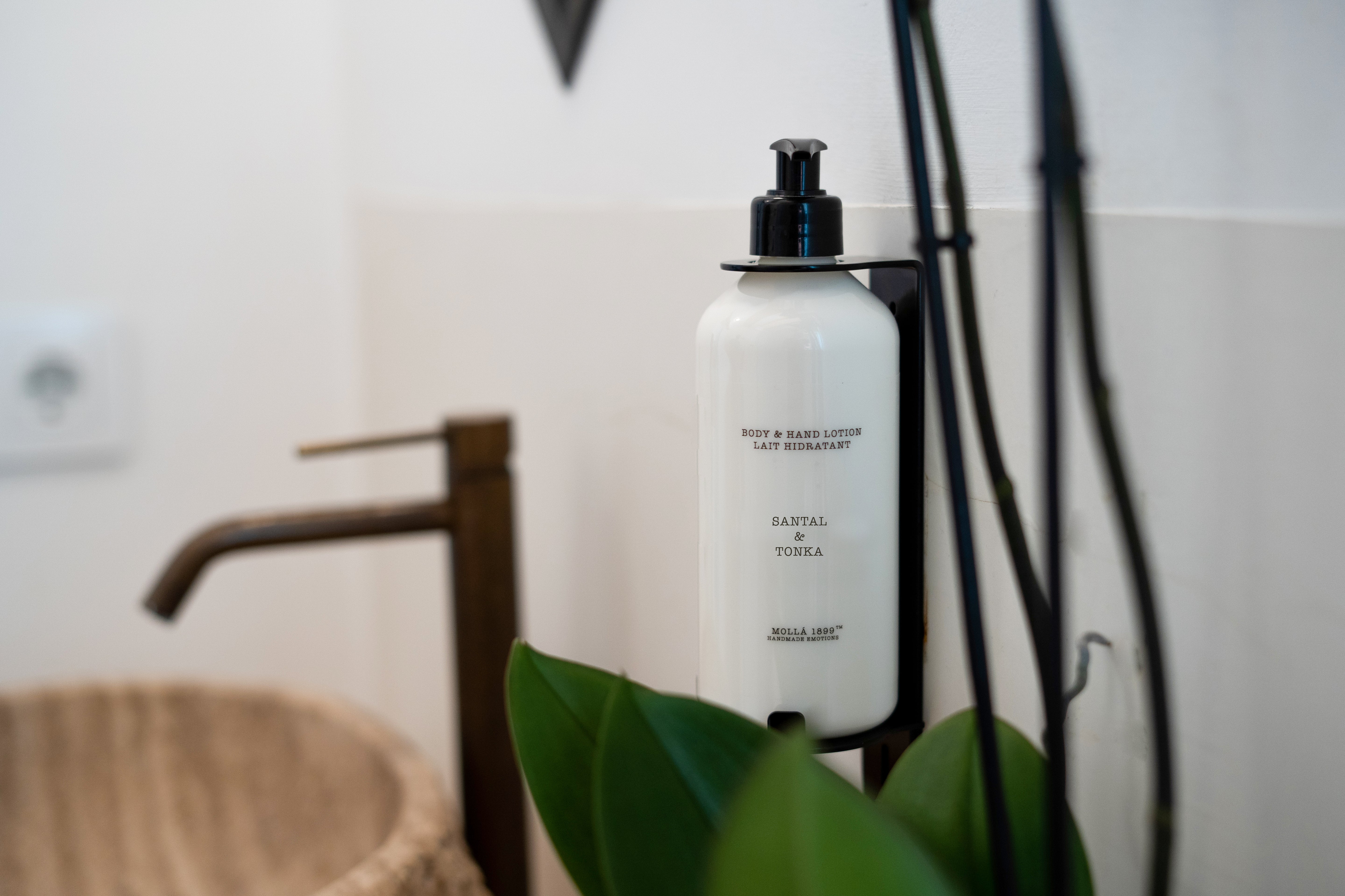 Cereria Molla | Hand & Body Lotion