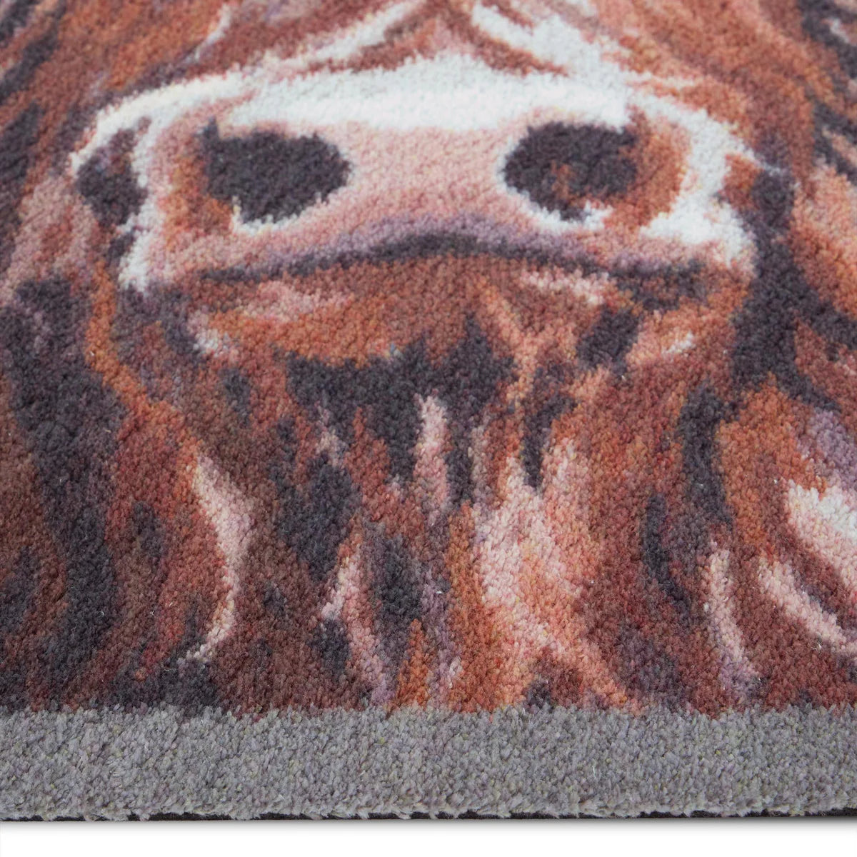 Heritage Highland Cow | Runner
