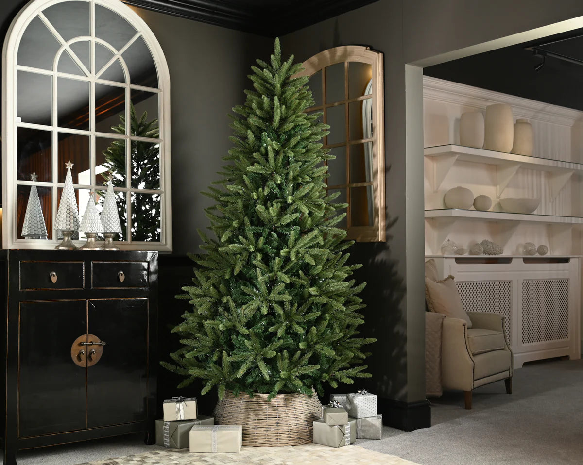 Raemoir Pine Tree | 240cm