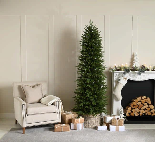Sierra Nevada Fir Tree | 150cm