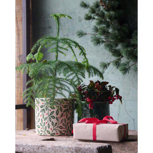 Evy Plant Pot | Green/Red stoneware