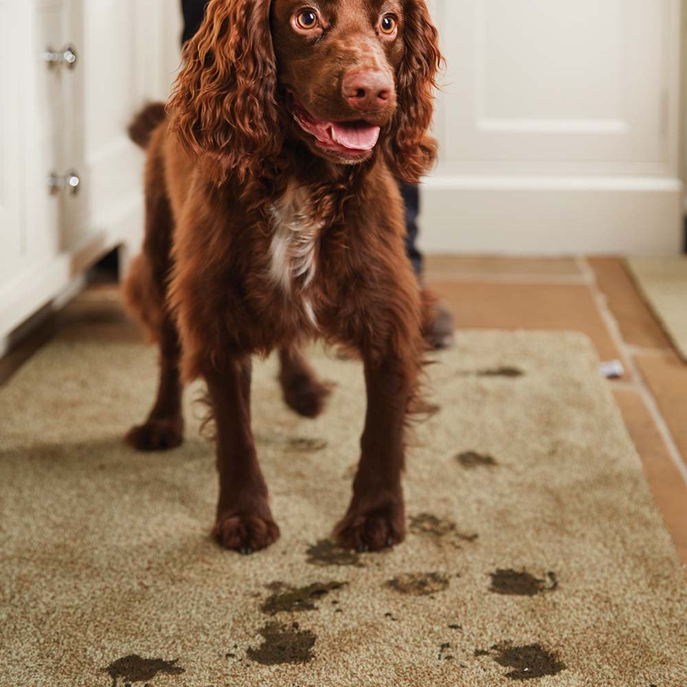 Hug Rug Door Mat | Stone