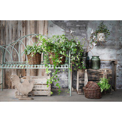 Alexia | Rattan Basket