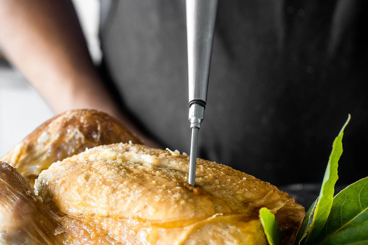 Stainless Steel Professional Baster