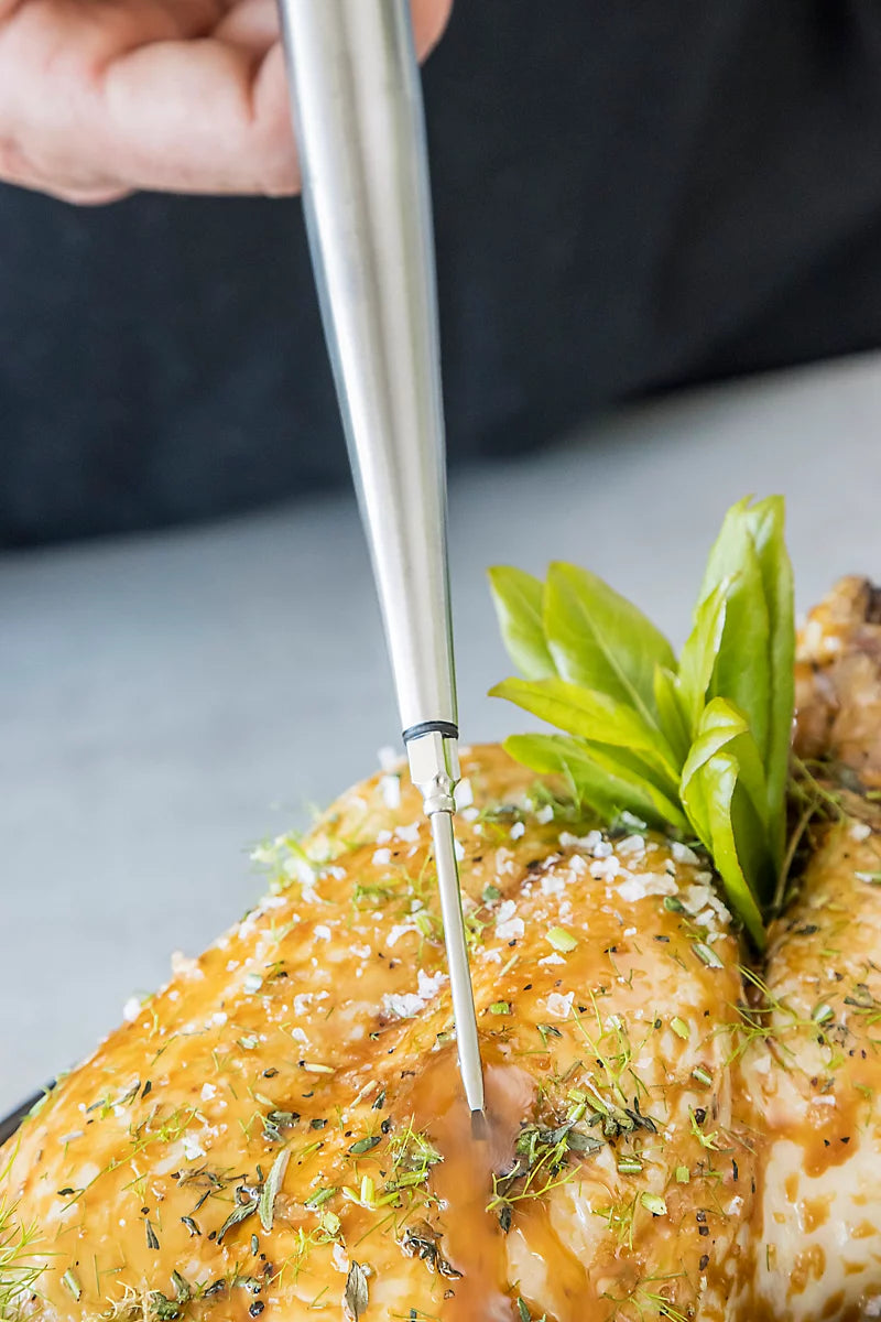 Stainless Steel Professional Baster