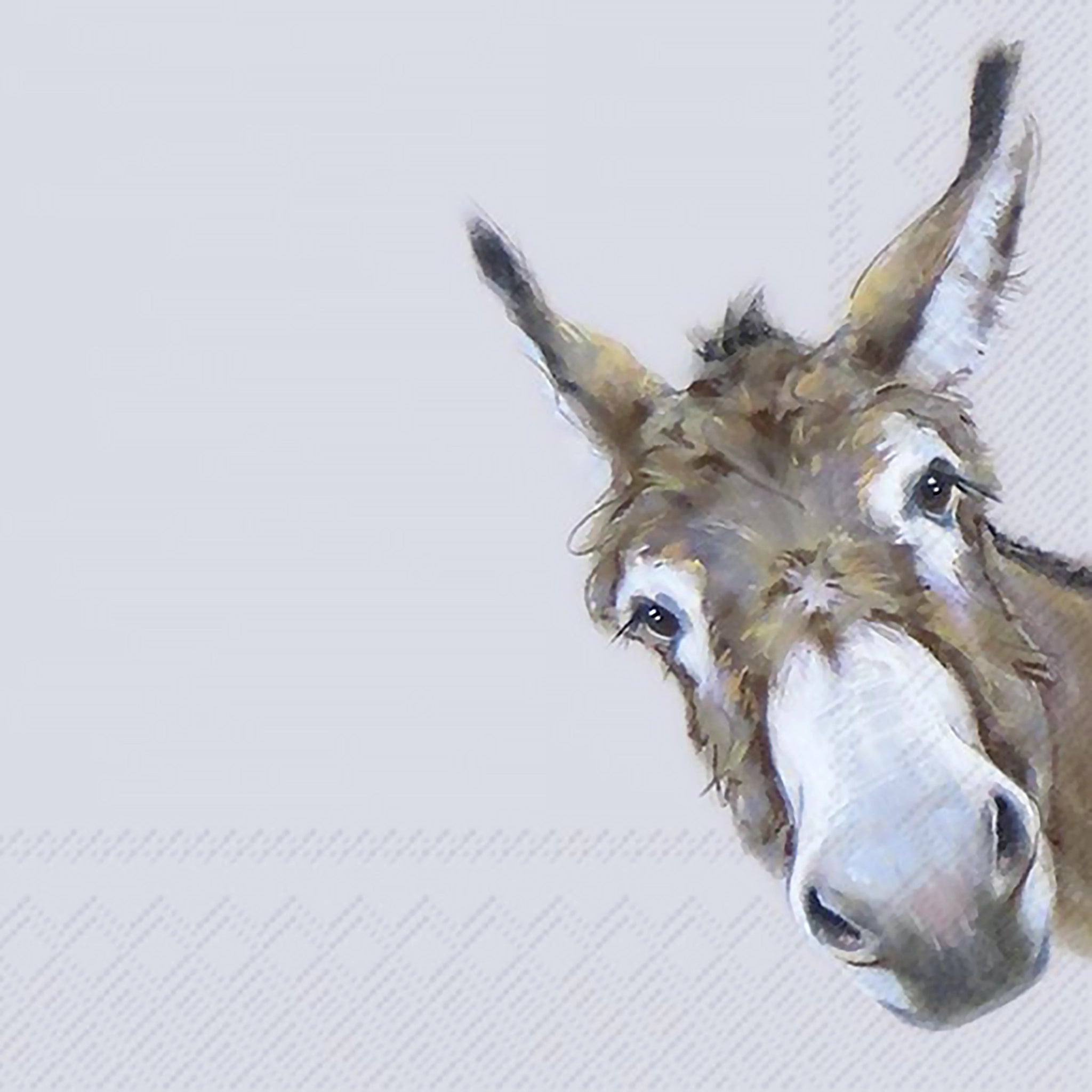 Donkey Gonzo Grey| Lunch Napkins
