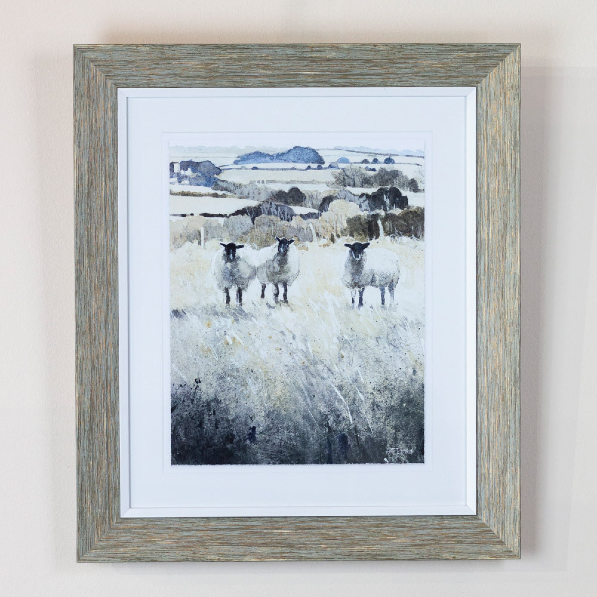 Framed Print Curious Chatter | 2 asst