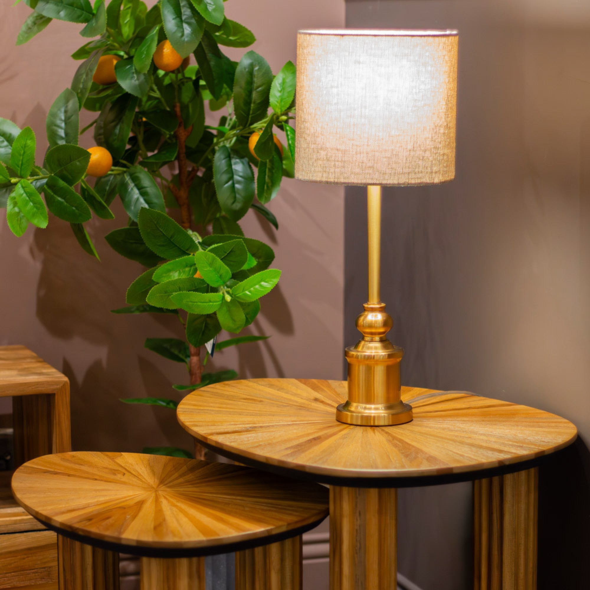 Ray Nest of Tables | Ginger Teak