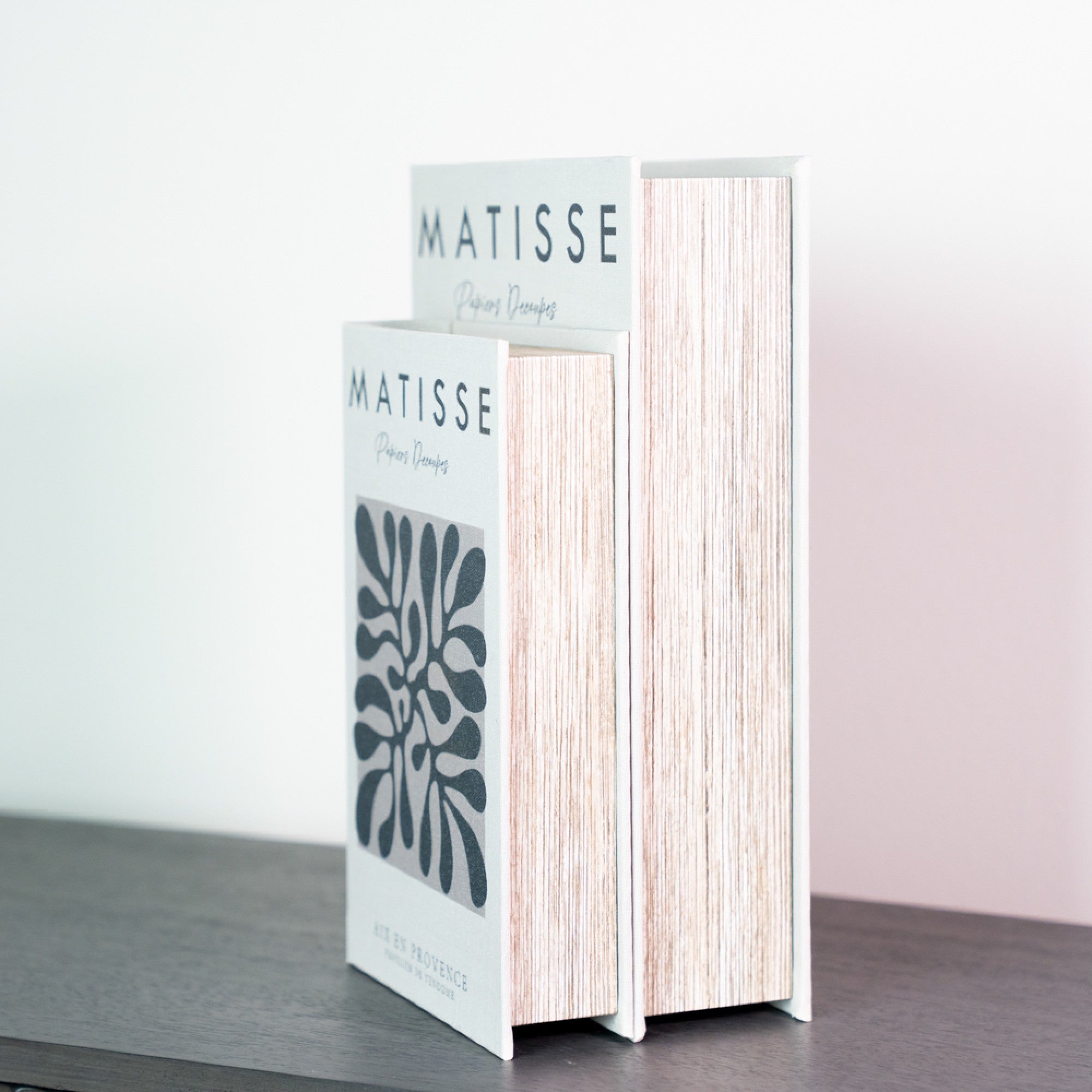 Book Box Set of 2 | Matisse / Interior Design