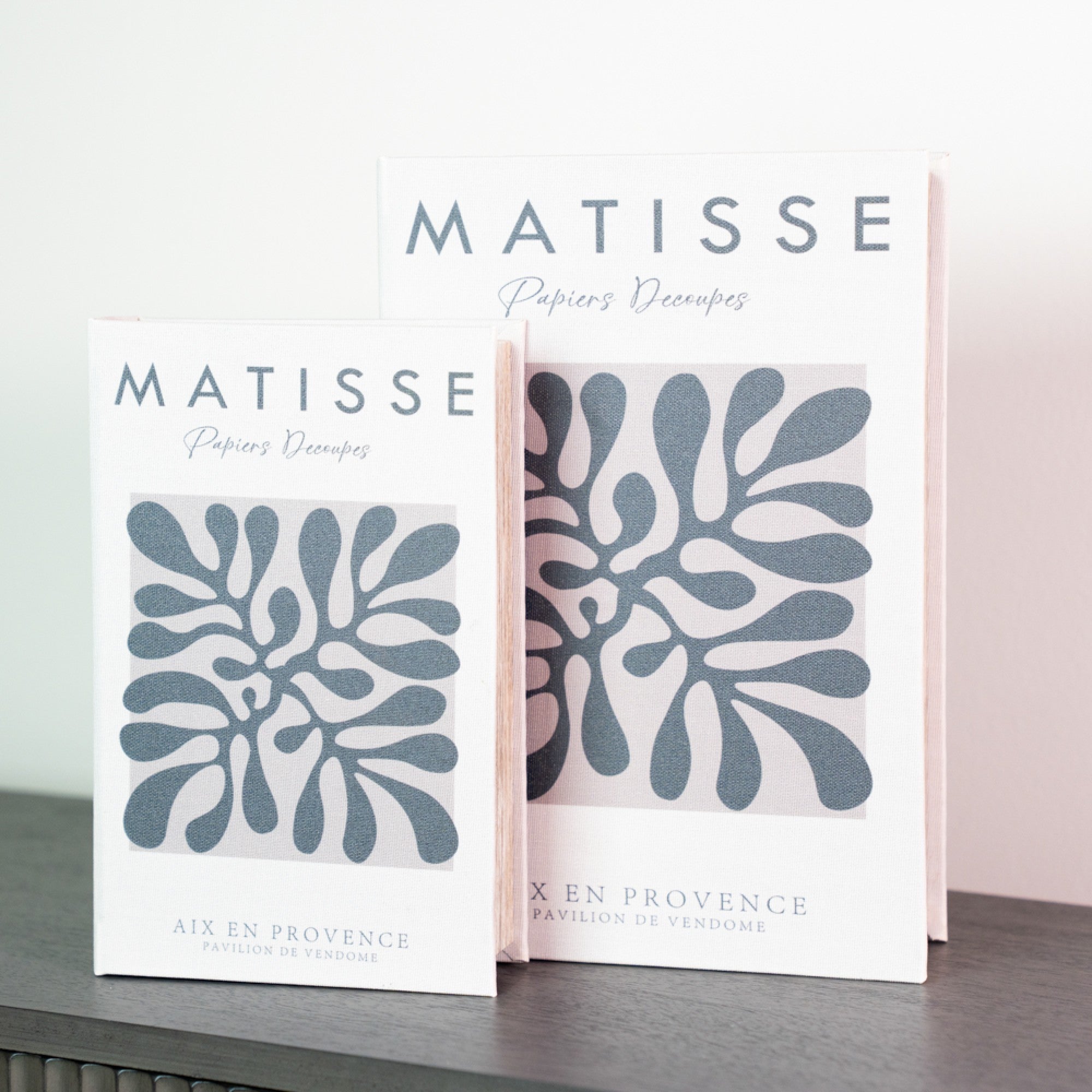 Book Box Set of 2 | Matisse / Interior Design