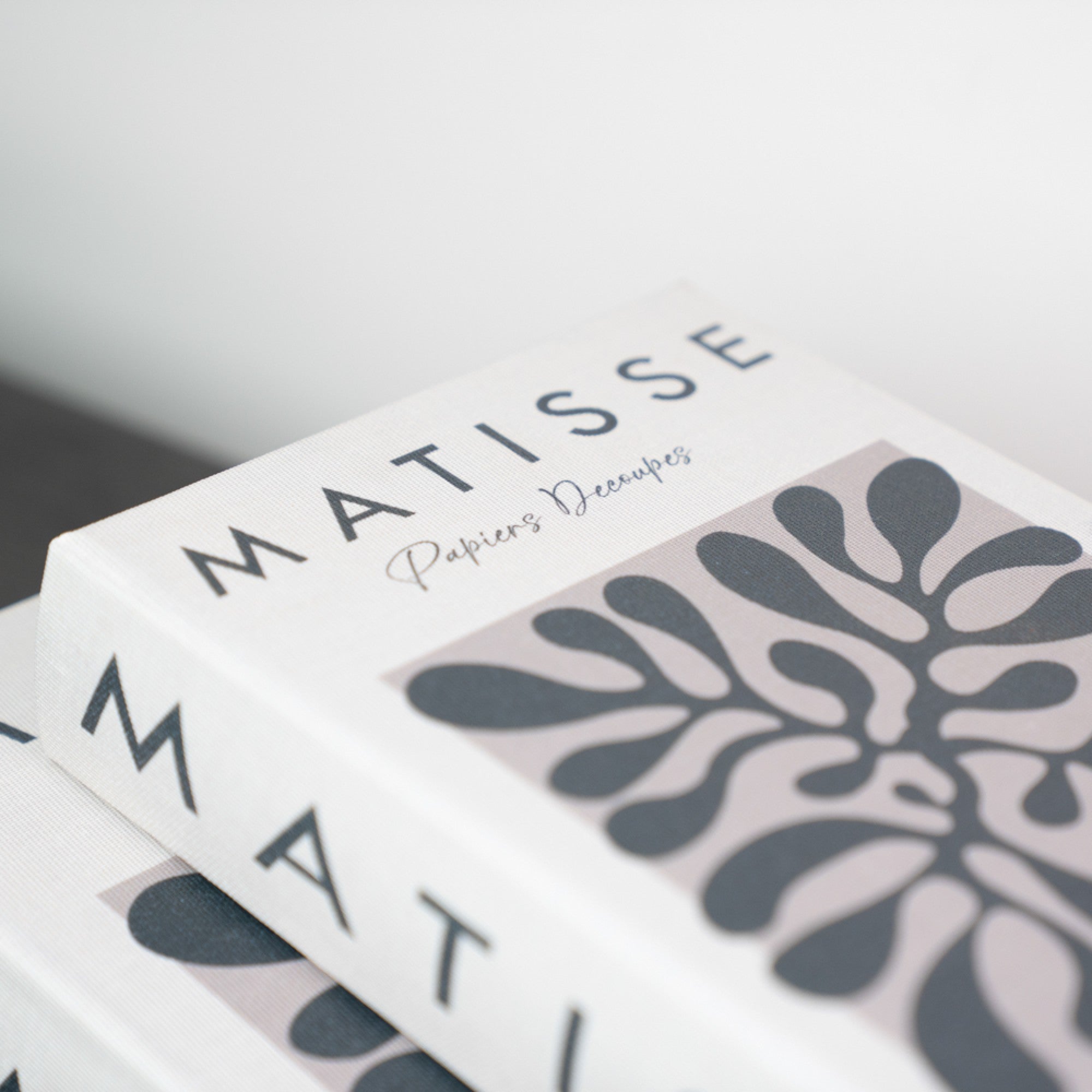Book Box Set of 2 | Matisse / Interior Design