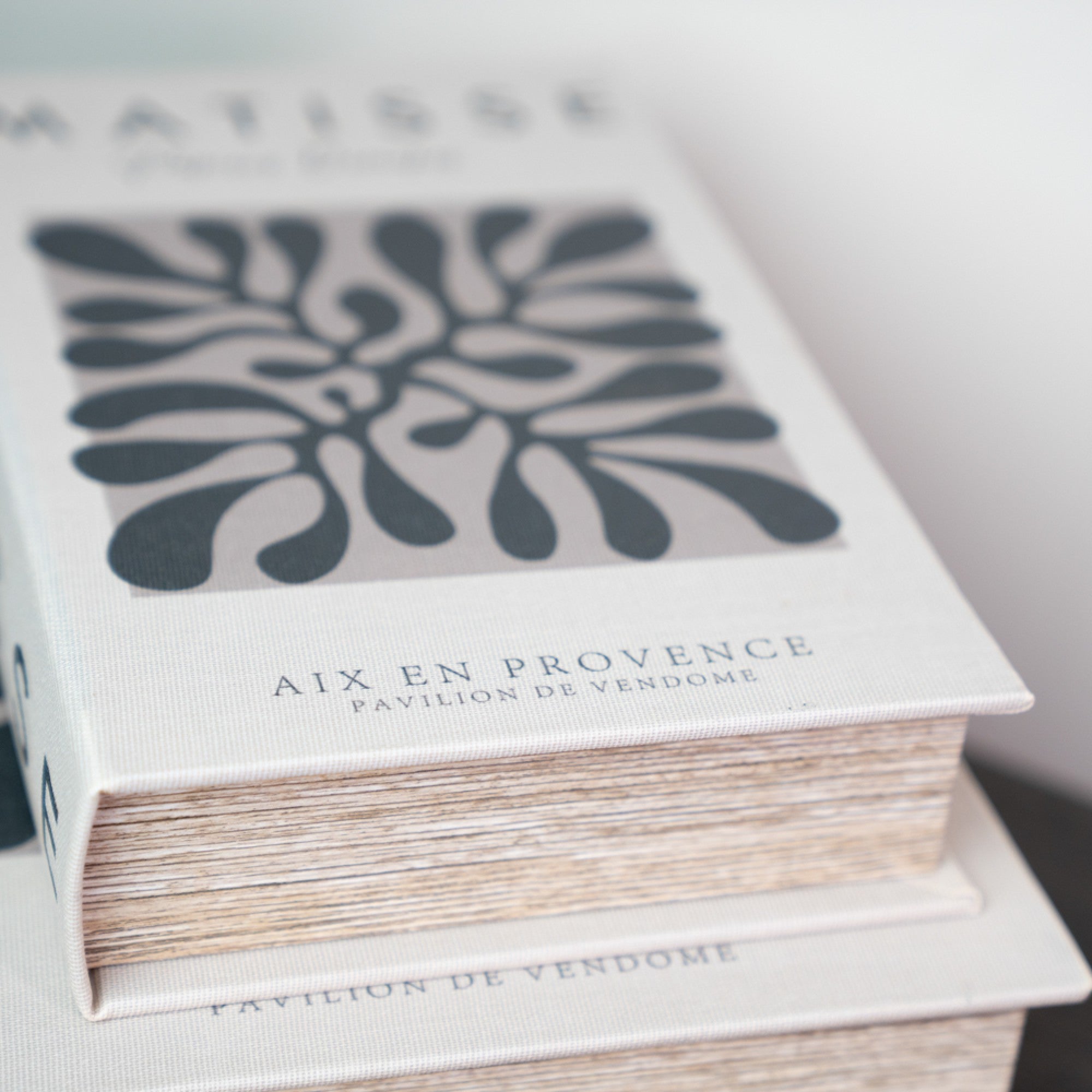 Book Box Set of 2 | Matisse / Interior Design