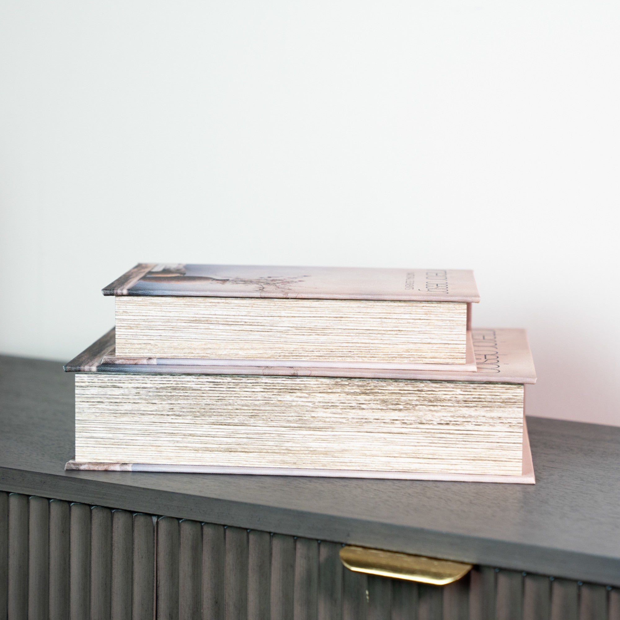 Book Box Set of 2 | Matisse / Interior Design