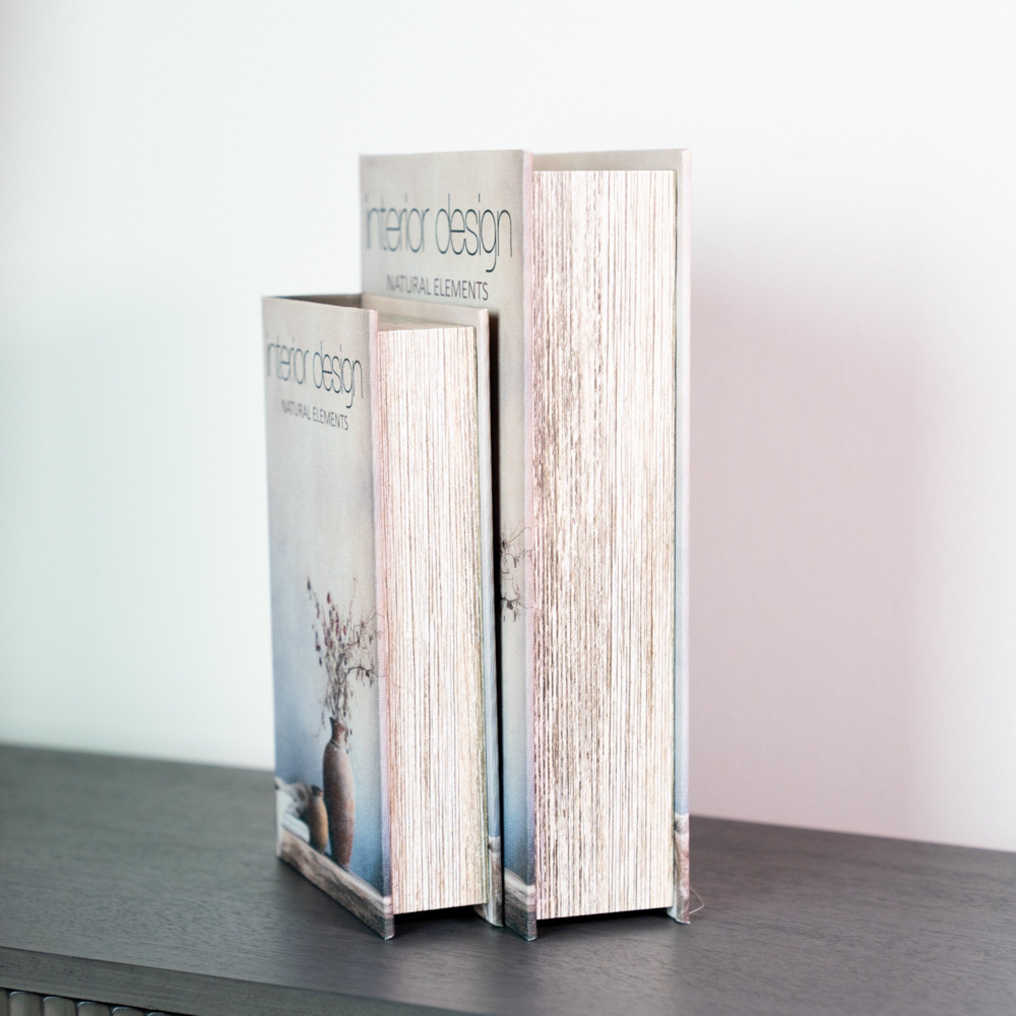 Book Box Set of 2 | Matisse / Interior Design