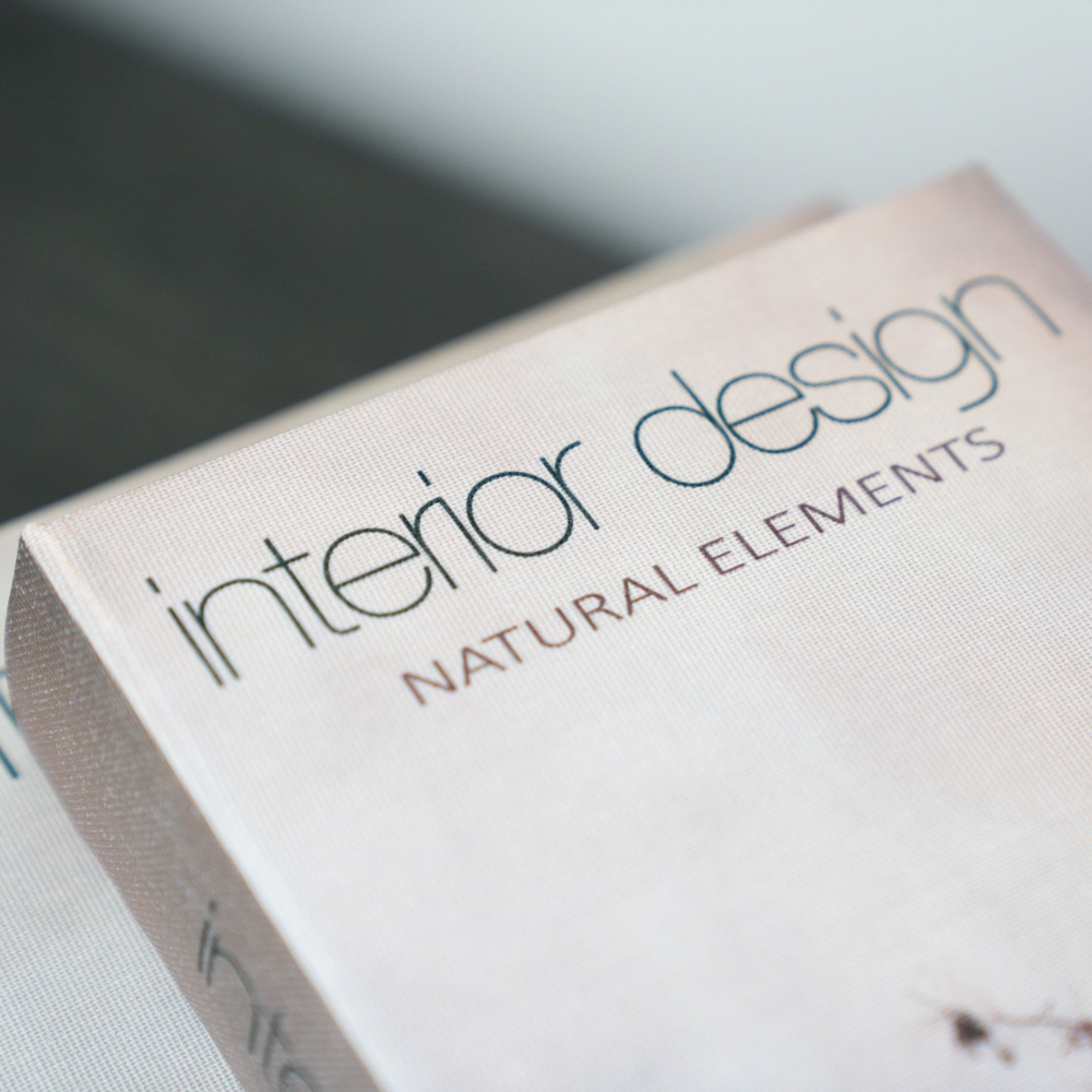 Book Box Set of 2 | Matisse / Interior Design