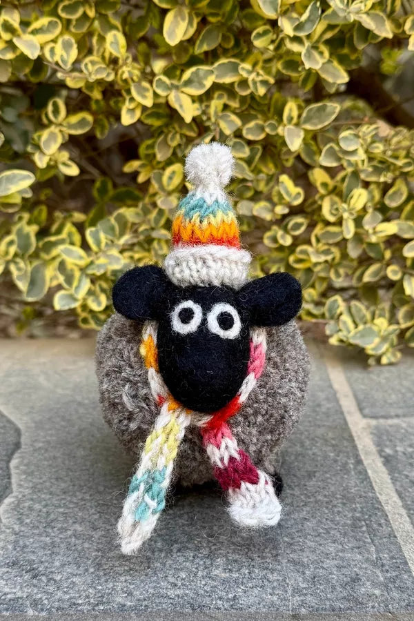 Stuart | The Lakeland Sheep