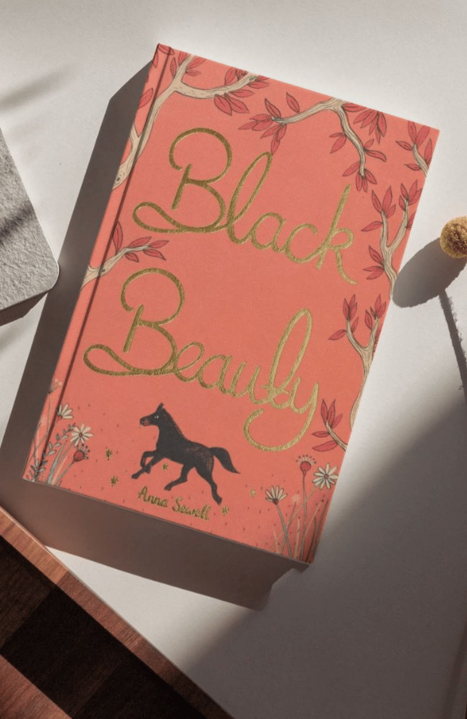 Black Beauty | Book