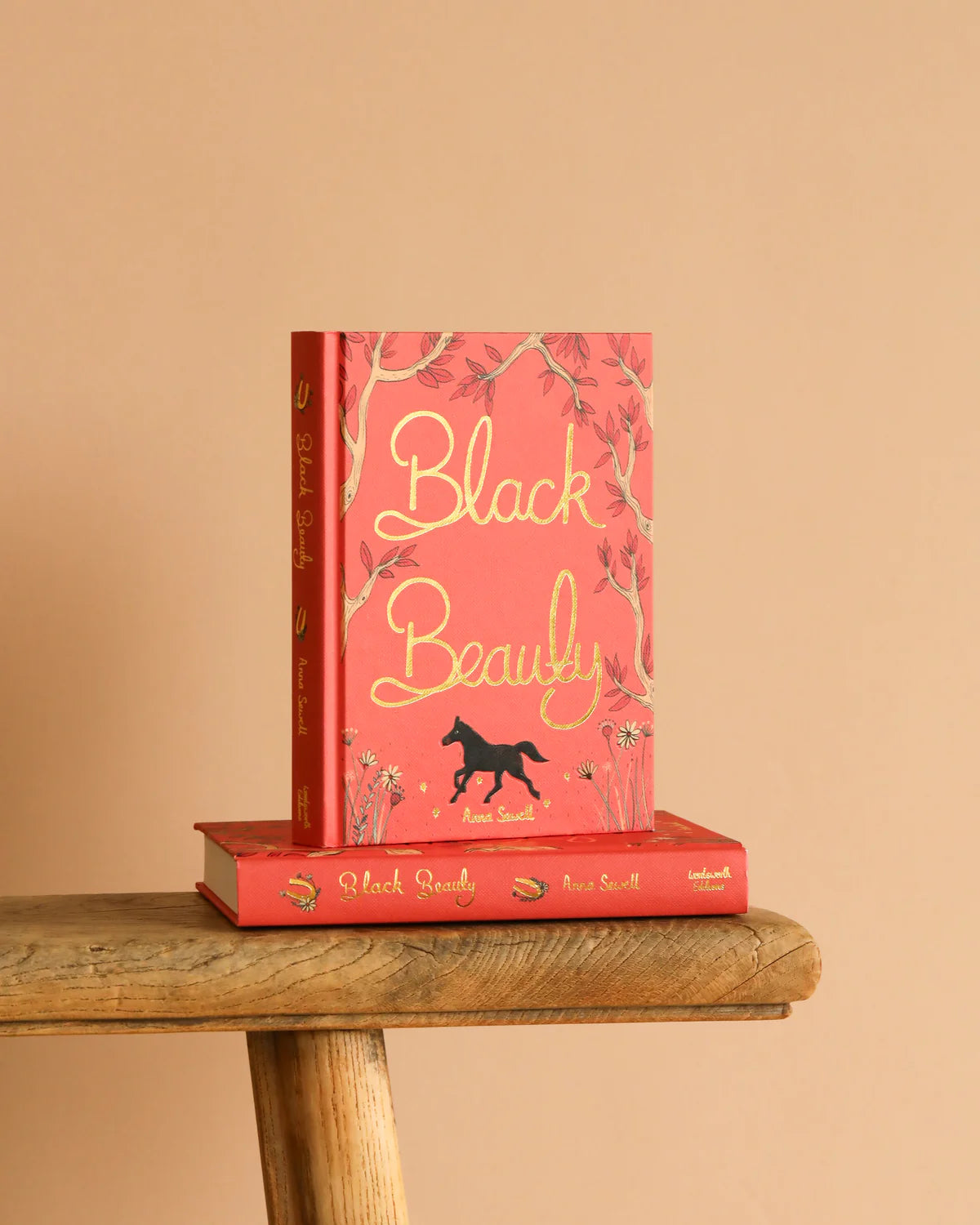 Black Beauty | Book