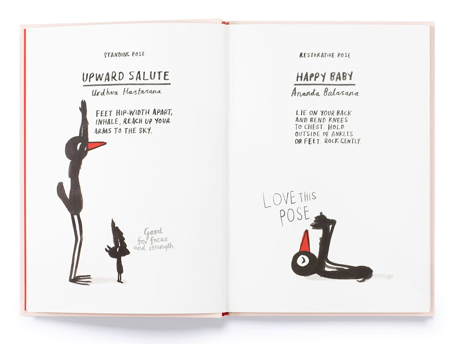 Yoga For Stiff Birds | Book
