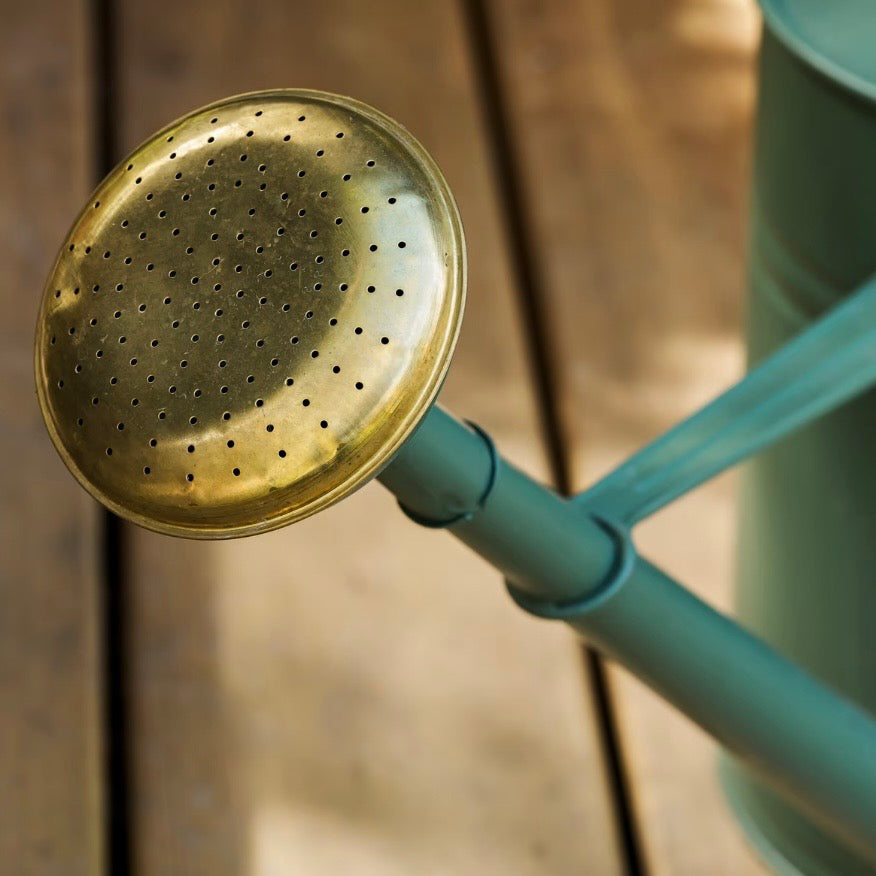 10L Watering Can | Thistle Green