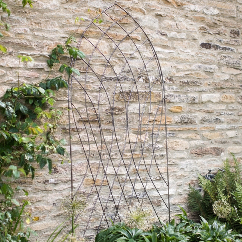 Barrow | Arch Trellis