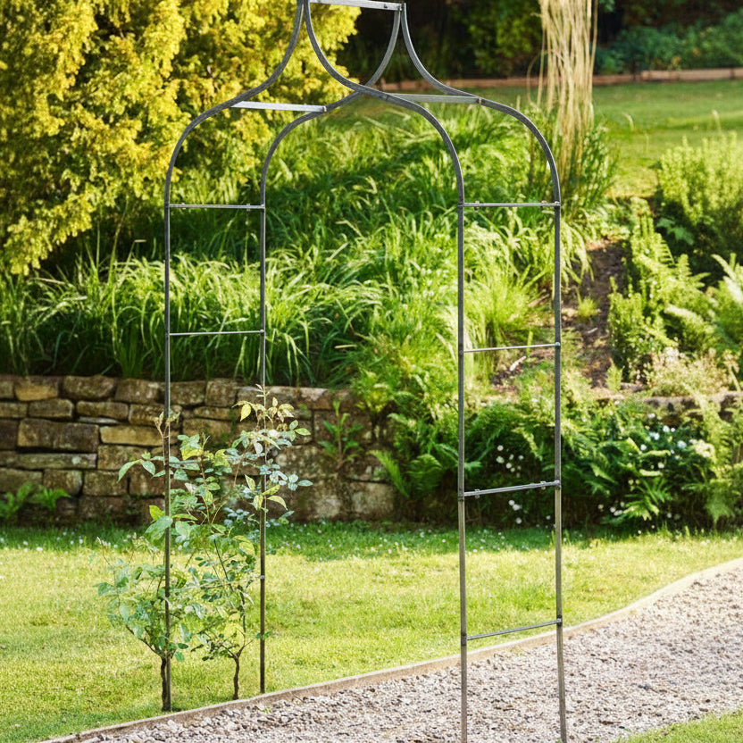Farrow | Rose Arch