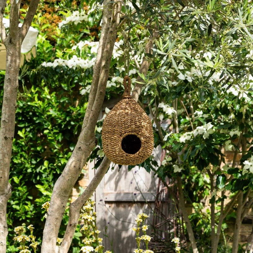 Brady | Seagrass Birdhouse