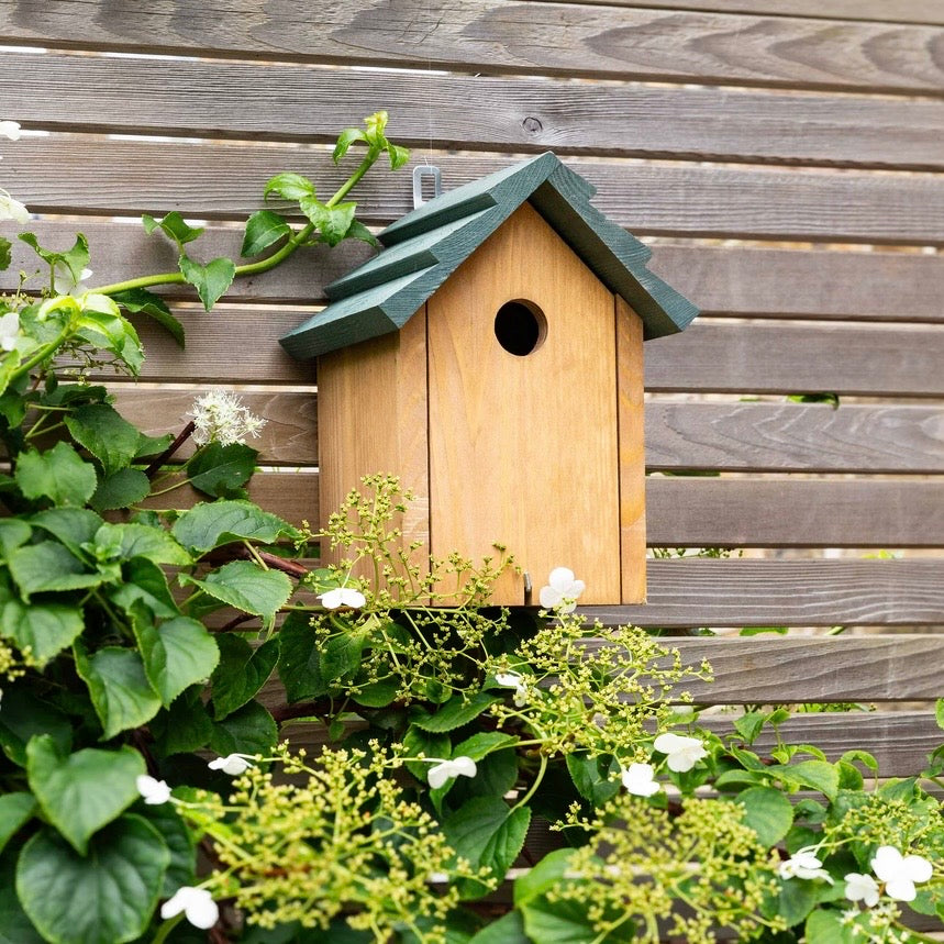 Littleton | Bird House