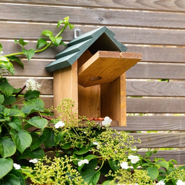 Littleton | Bird House