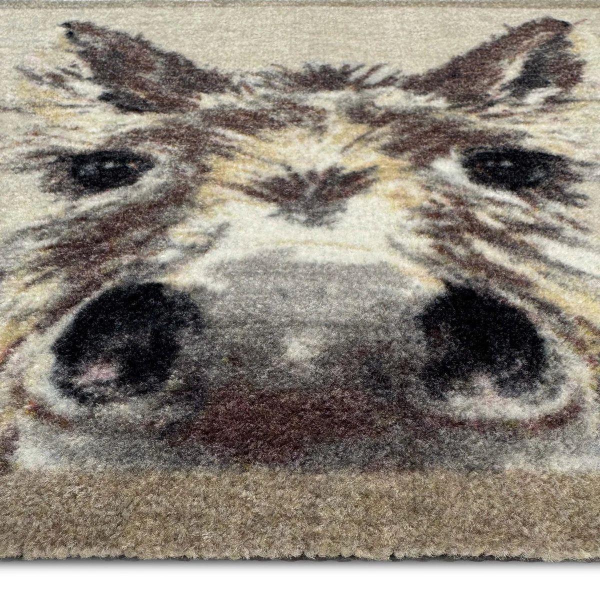 My Donkey Doormat