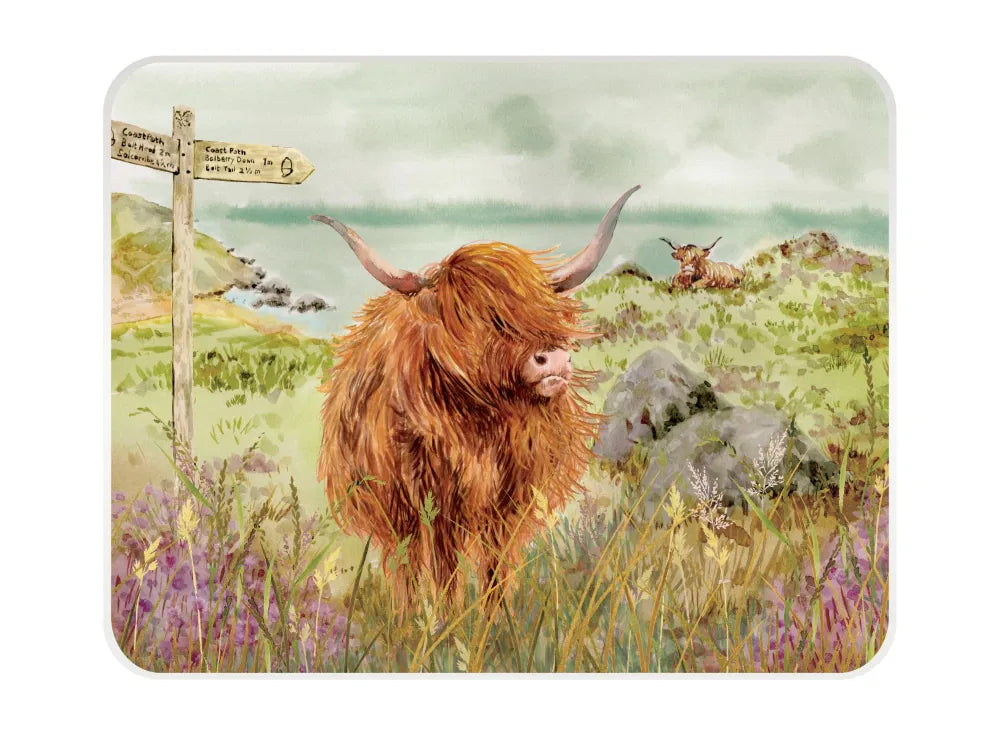 National Trust | Highland Cattle