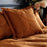 Palmeria Rust Cushion