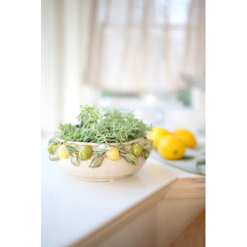 Citrus | Shallow Planter