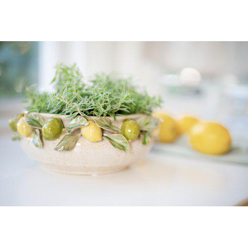 Citrus | Shallow Planter