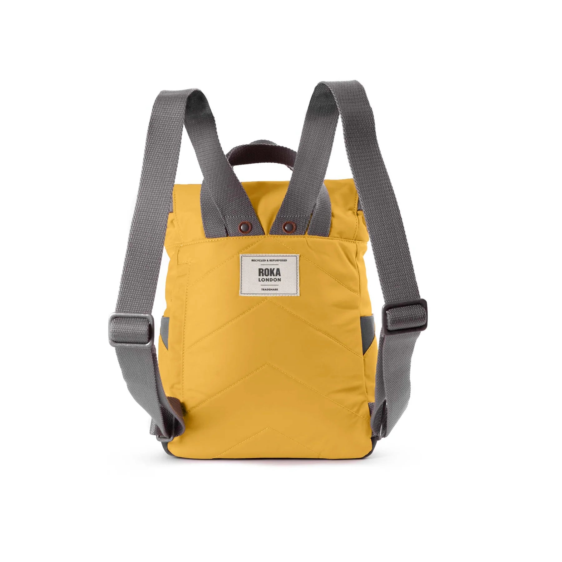 Canfield B | Medium Corn