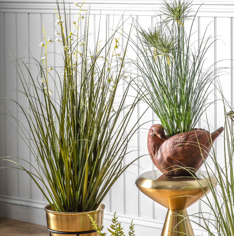 Potted Grass with Green and White Flowers