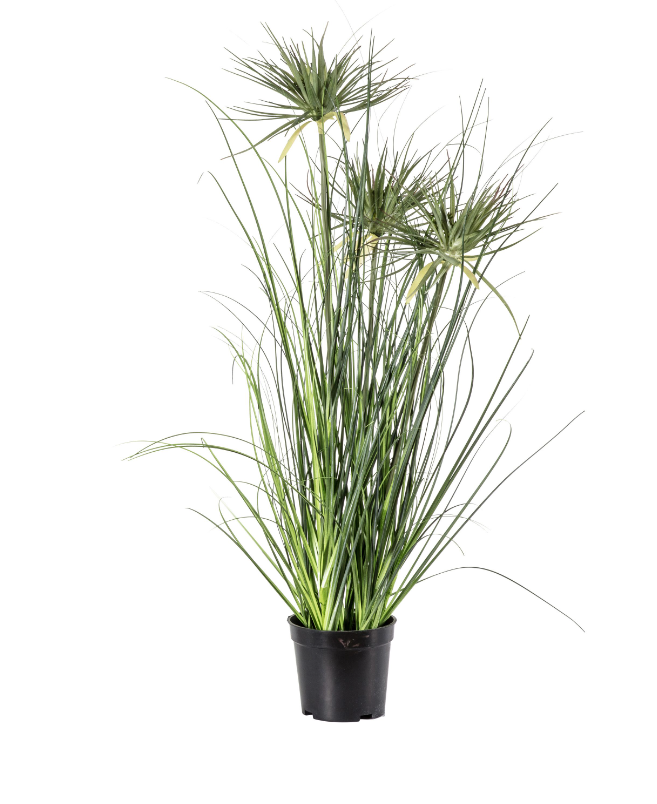Potted Grass with 3 Flowers