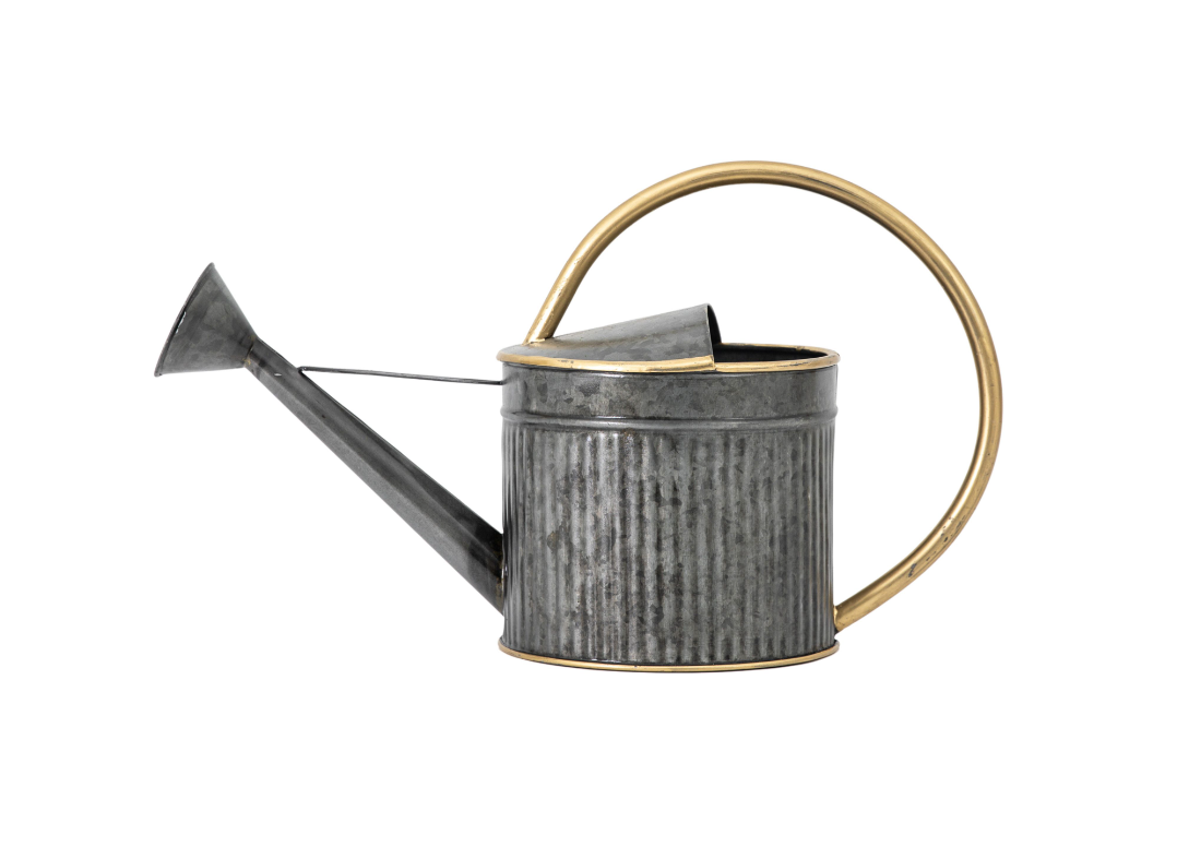 Harris Watering Can