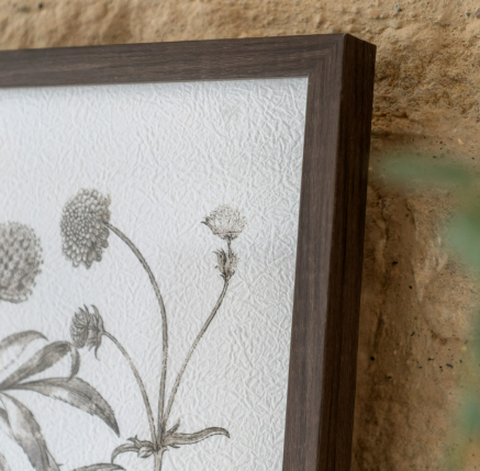 Evergreen | Set of 3 Prints